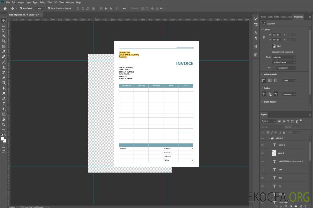 Modèle de facture de logiciel vierge template